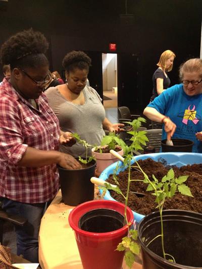 ONOC Urban Gardening ONOC Urban Gardening