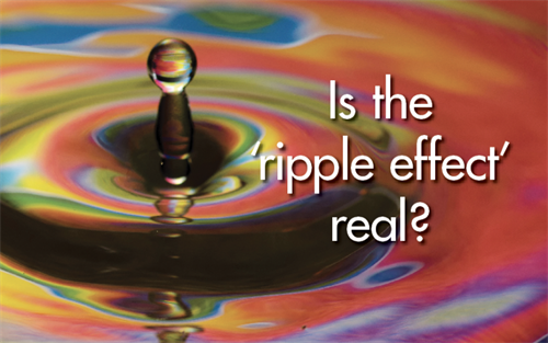 Ripple Effect Movers & Makers Ripple Effect Movers & Makers
